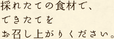 採れたての食材で、できたてをお召し上がりください。