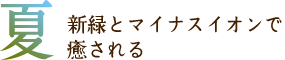 夏　新緑とマイナスイオンで癒される