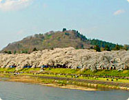 古城山城跡（古城山公園）